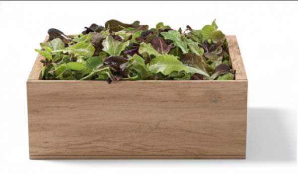 Allstar Gourmet Lettuce Mix