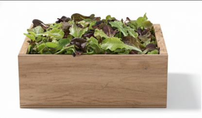 Allstar Gourmet Lettuce Mix