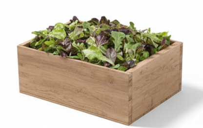 Allstar Gourmet Lettuce Mix