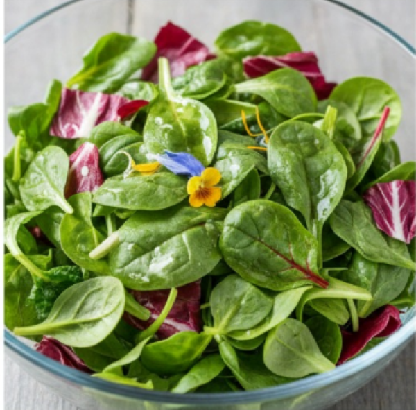 Baby Leaf Salad
