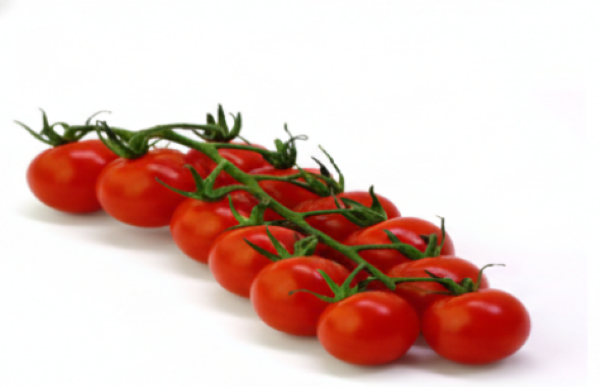 Chadwick Cherry Tomato