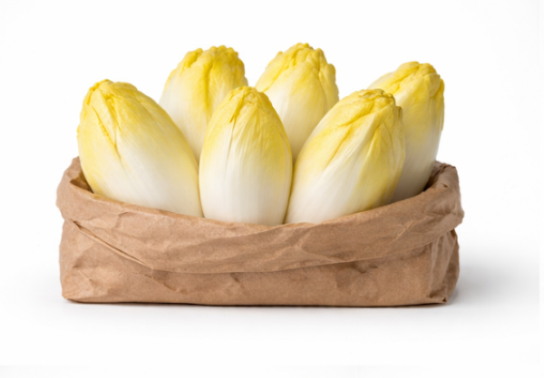 Chicory Brussels Whitloff