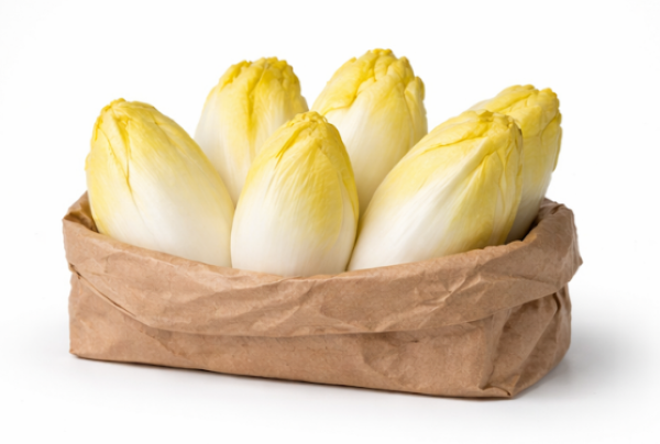 Chicory Brussels Whitloff