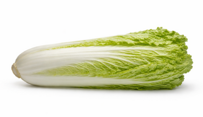 Chinese Green Cabbage