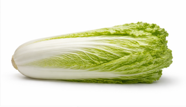 Chinese Green Cabbage