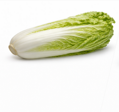 Chinese Green Cabbage