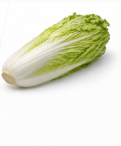 Chinese Green Cabbage