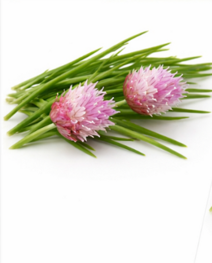 Chives