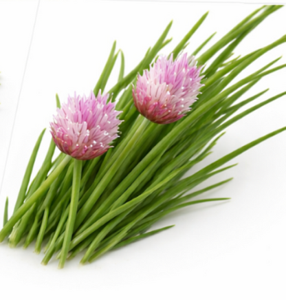 Chives