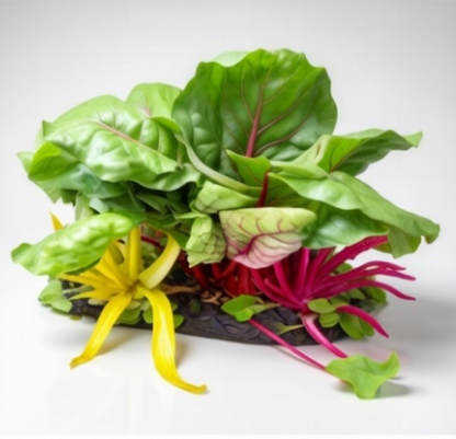 السلق السويسري الملون