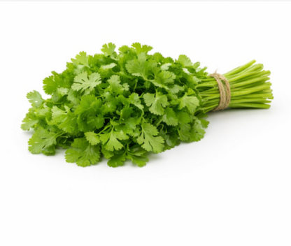 Coriander
