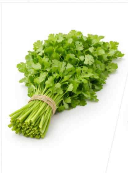 Coriander