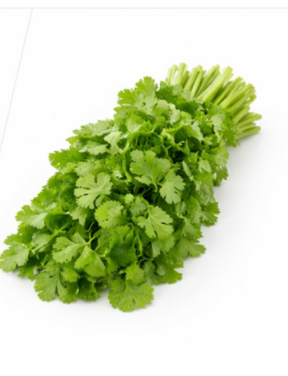 Coriander