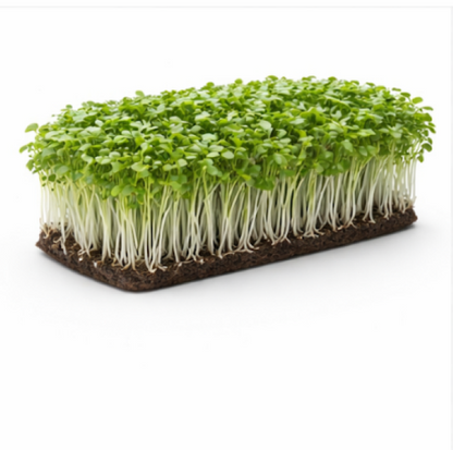 Cress