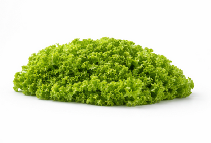 Crystal Lettuce Winter Salad