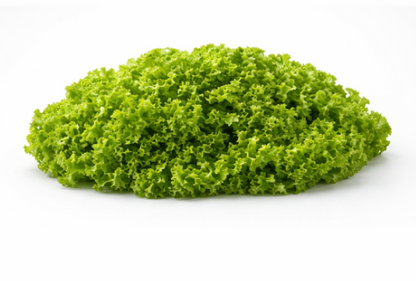 Crystal Lettuce Winter Salad