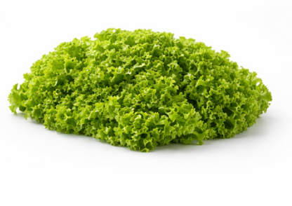 Crystal Lettuce Winter Salad
