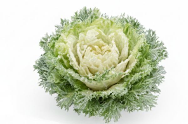 Crystal Winter Salad