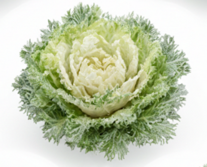 Crystal Winter Salad