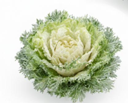 Crystal Winter Salad