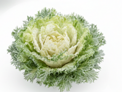 Crystal Winter Salad