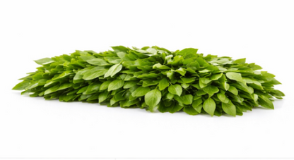 Curry Leaves