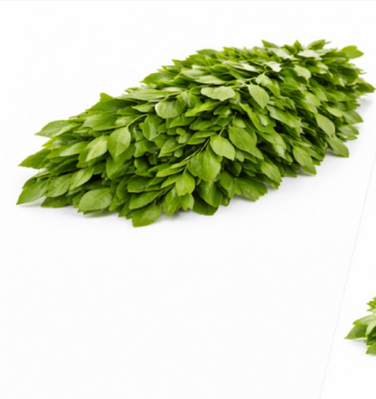 Curry Leaves