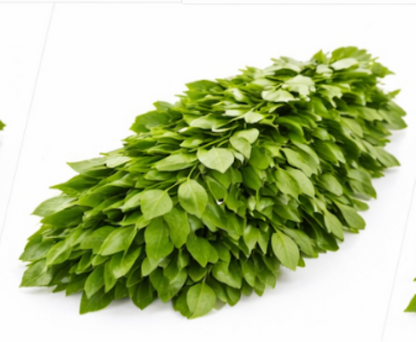 Curry Leaves