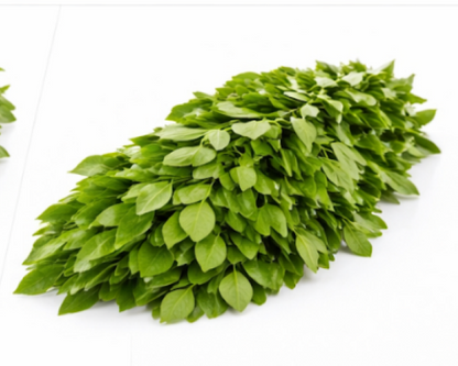 Curry Leaves