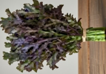 Dark Chestnut Kale