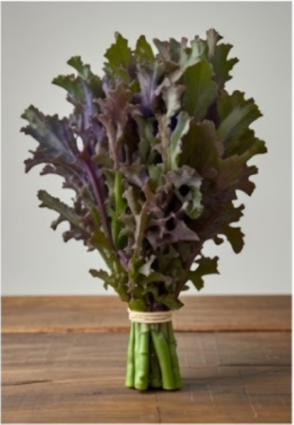 Dark Chestnut Kale
