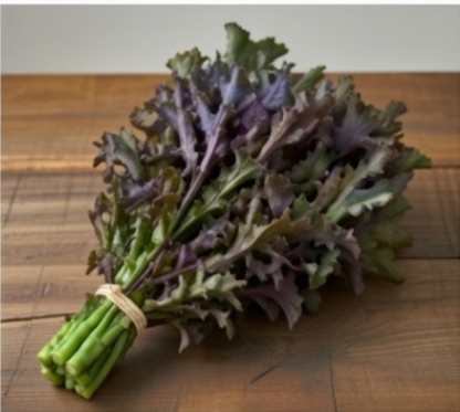Dark Chestnut Kale