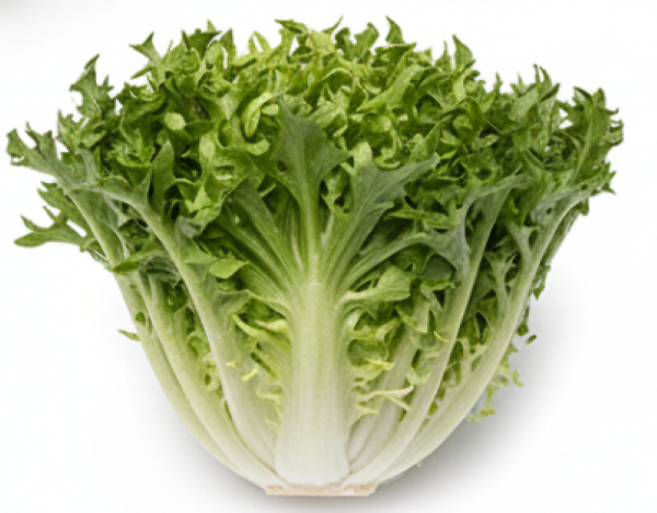 Endive De Ruffec salad