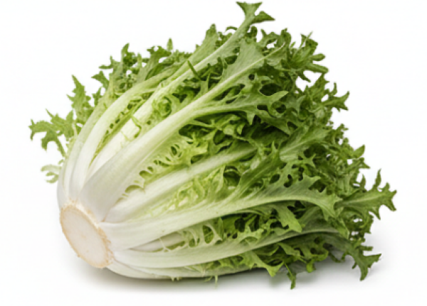 Endive De Ruffec salad