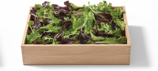 Five Star Greenhouse Lettuce Mix 