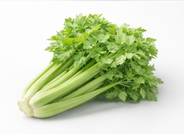 Giant Winter Spinach