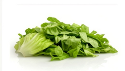Great Lakes Lettuce