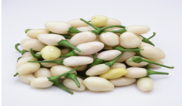 Habanero Miniature White