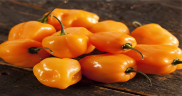 Habanero Orange