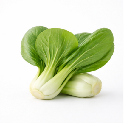 Japanese Mustard Spinach