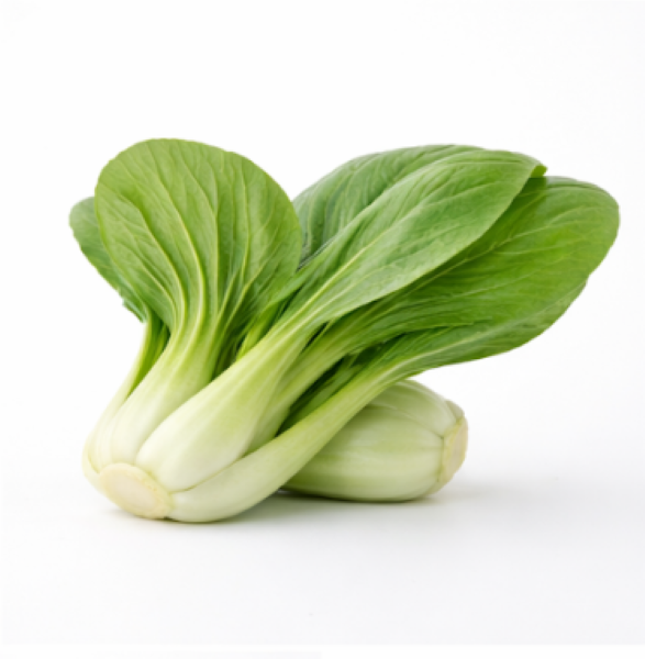 Japanese Mustard Spinach