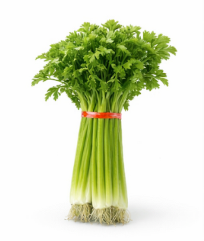 Japanese Hedge Parsl