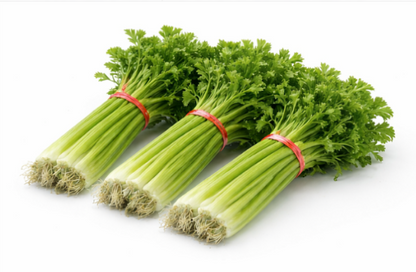 Japanese Hedge Parsl