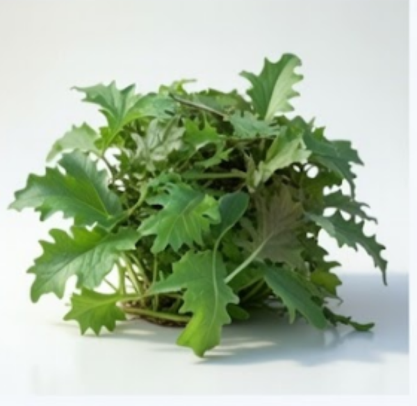 Kalebration Kale Mix – Organic Vegetable