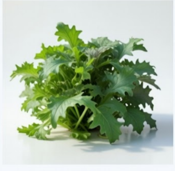 Kalebration Kale Mix – Organic Vegetable