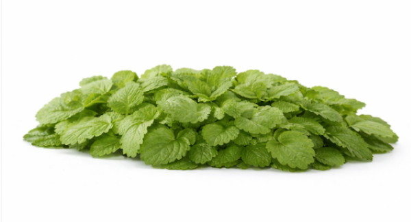 LEMON BALM