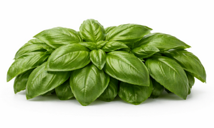 Lemon Basil