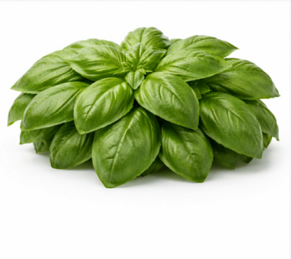 Lemon Basil