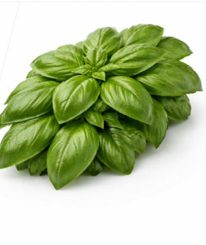 Lemon Basil