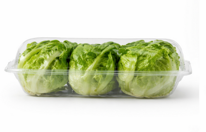 Lettuce